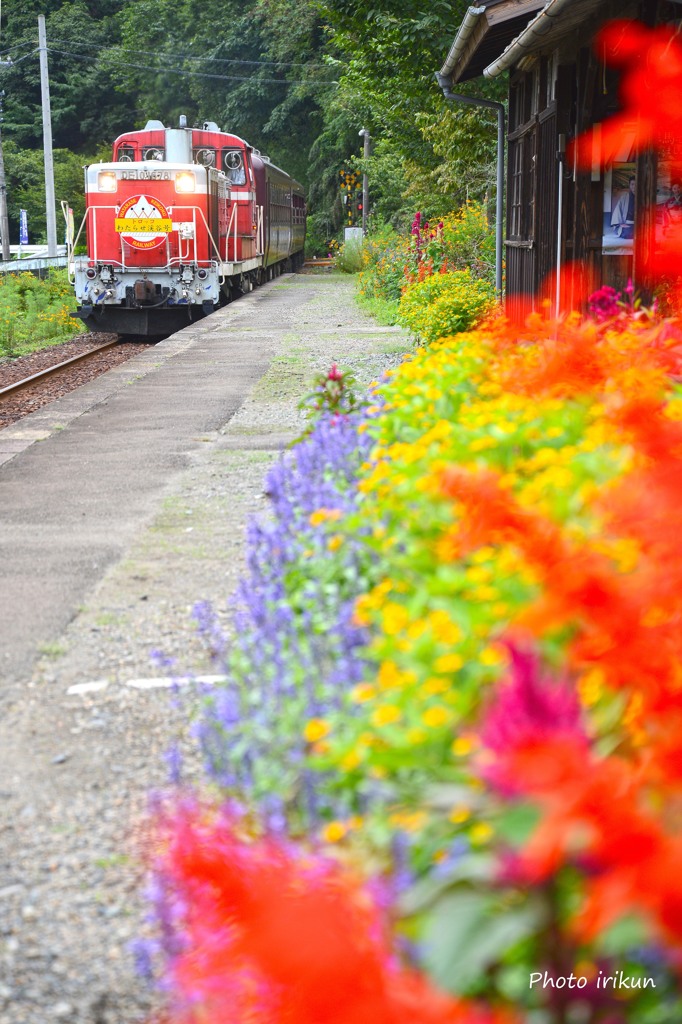 花咲く駅