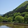 田植えまだなの