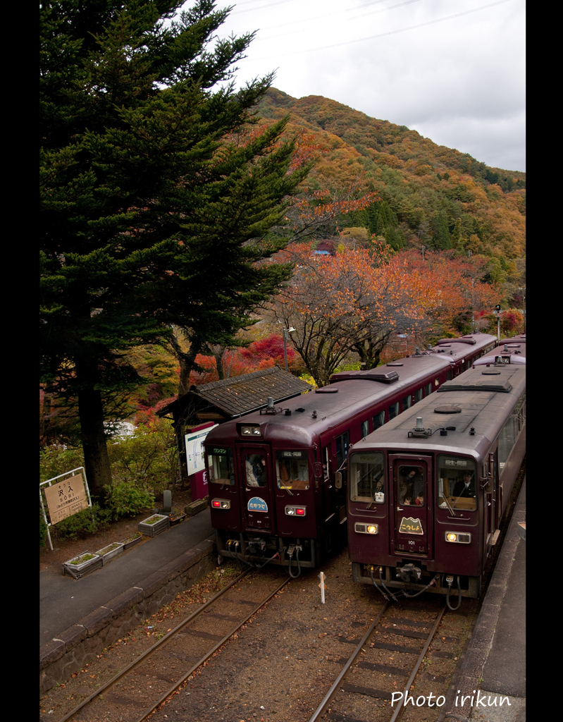 紅葉に染まる沢入駅