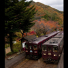 紅葉に染まる沢入駅