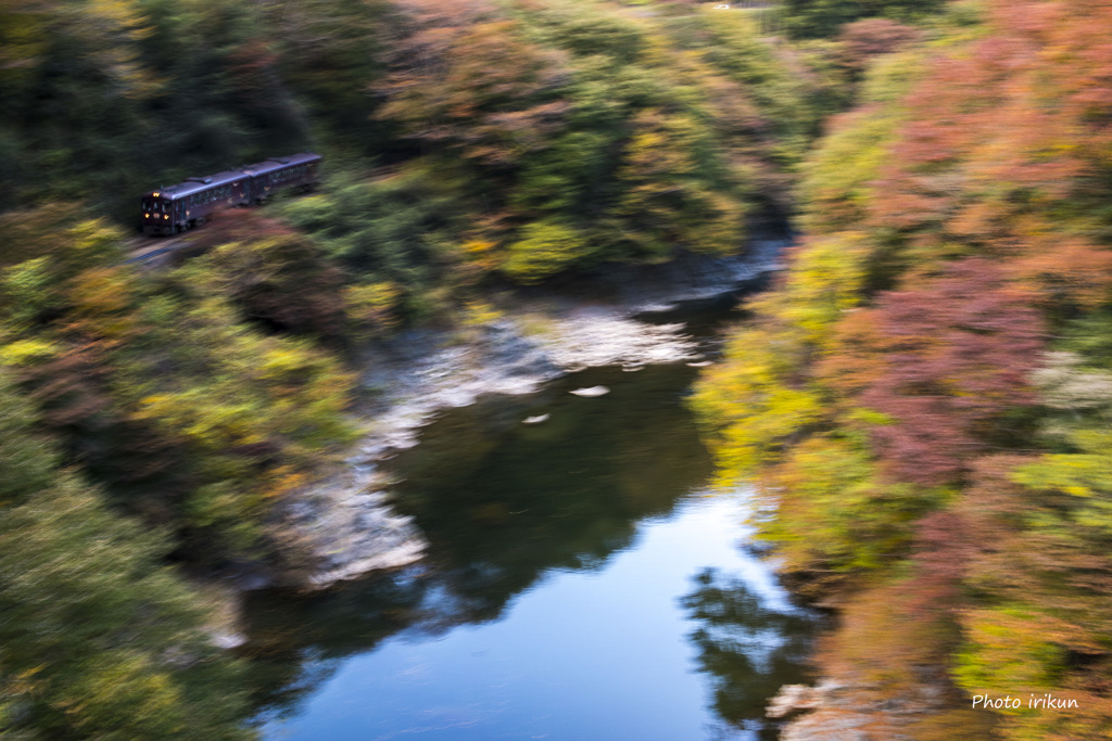 紅葉の渓谷