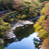 紅葉の渓谷