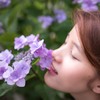 Hydrangeas girl