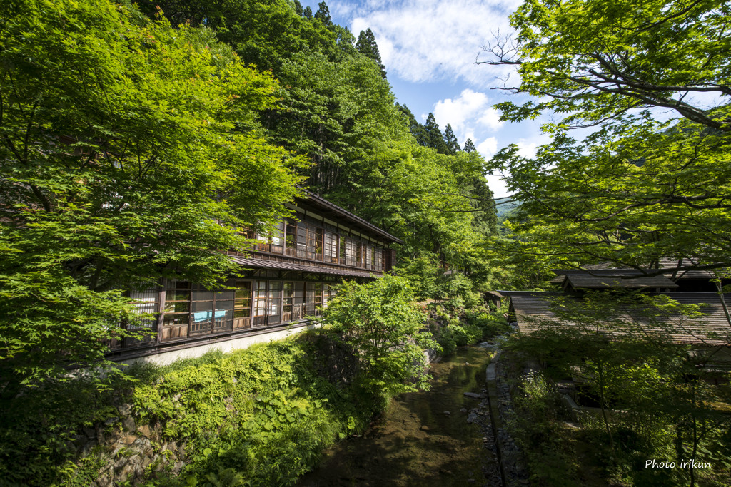 秘湯宿の緑