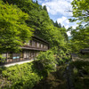 秘湯宿の緑