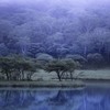 夜明け