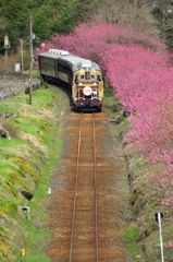 桃とトロッコ列車