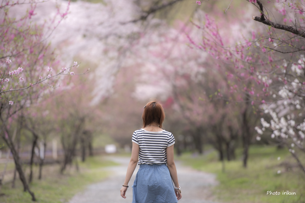 春のみち