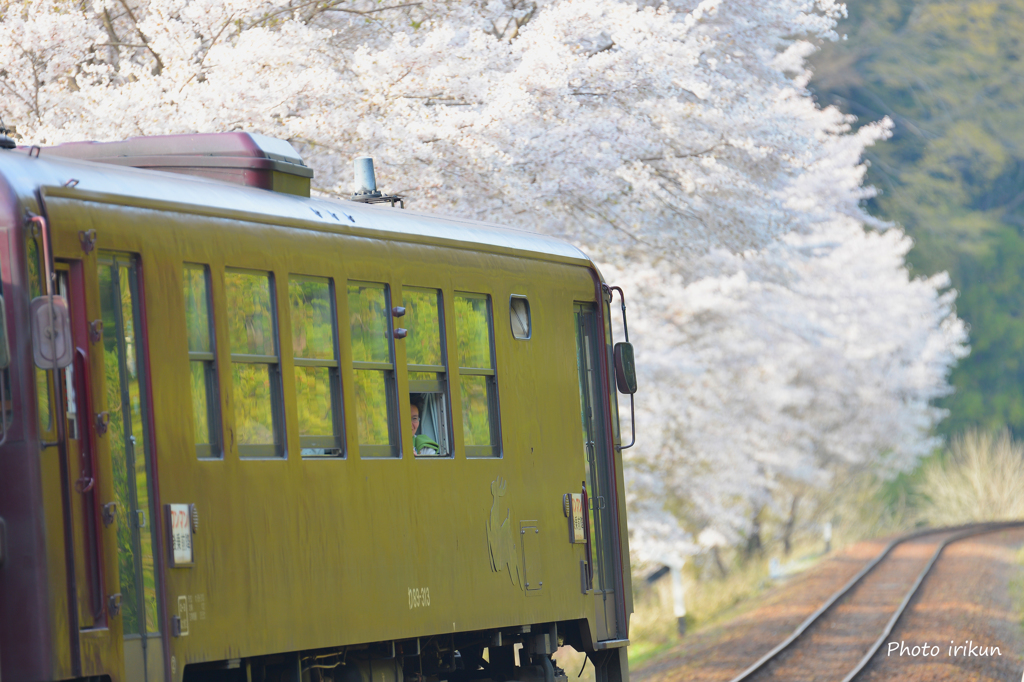 花紀行