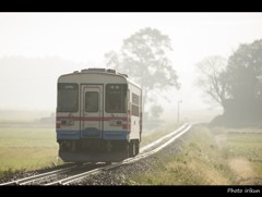 雨あがり