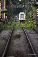 夕陽