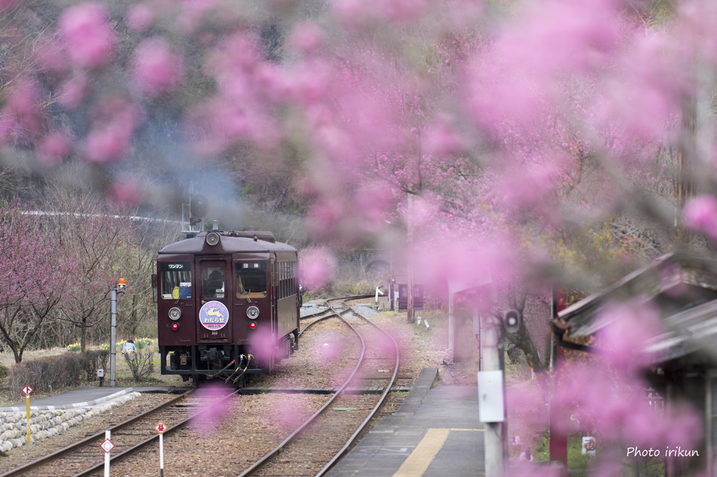さよなら３０２　神戸駅でお別れしました