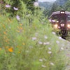 花の駅　上神梅