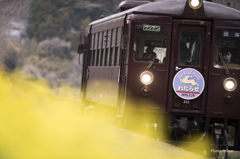 さよなら３０２　上神梅駅