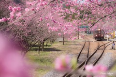 桃香る駅