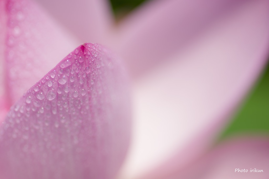 梅雨明け２