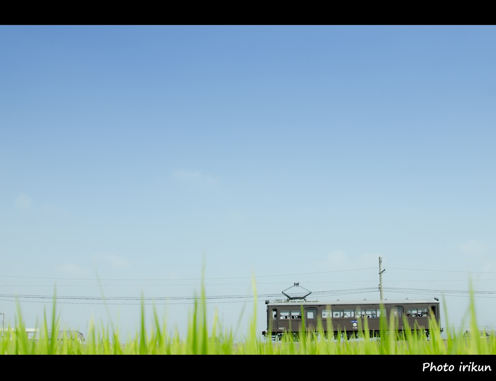 田園