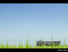 田園