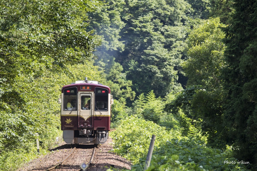 夏のわたらせへようこそ