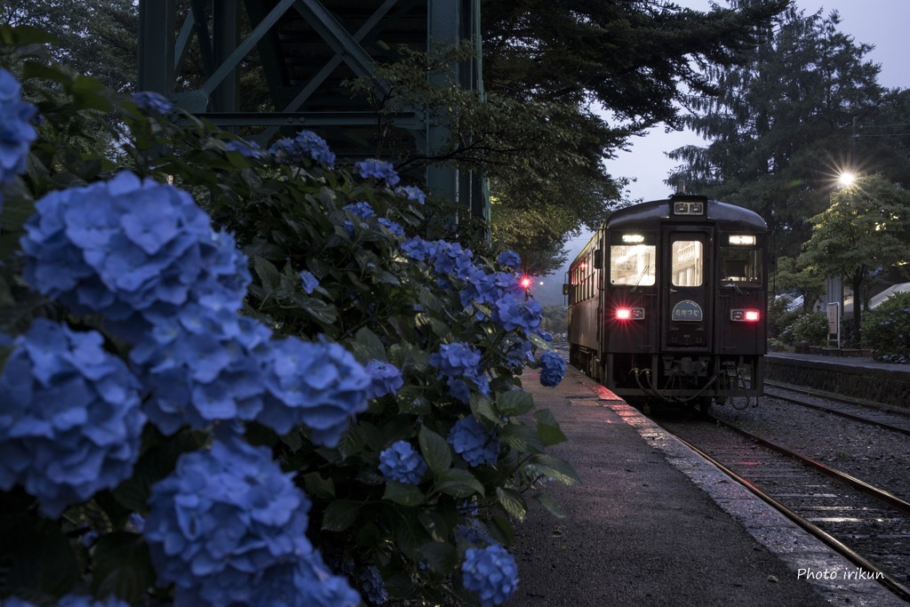 通学列車