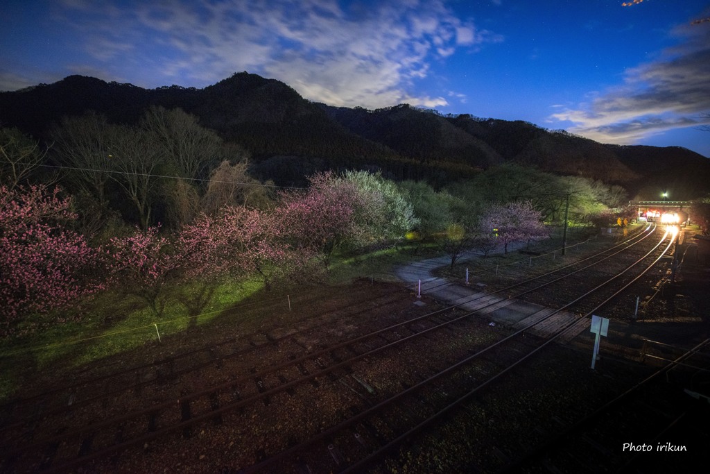 ファインダー越しの鉄路Ⅱ