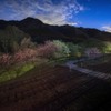 ファインダー越しの鉄路Ⅱ
