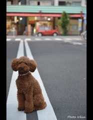 おすわり。