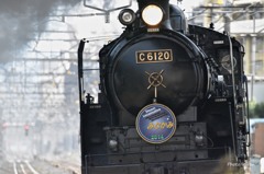 顔（D810テスト）