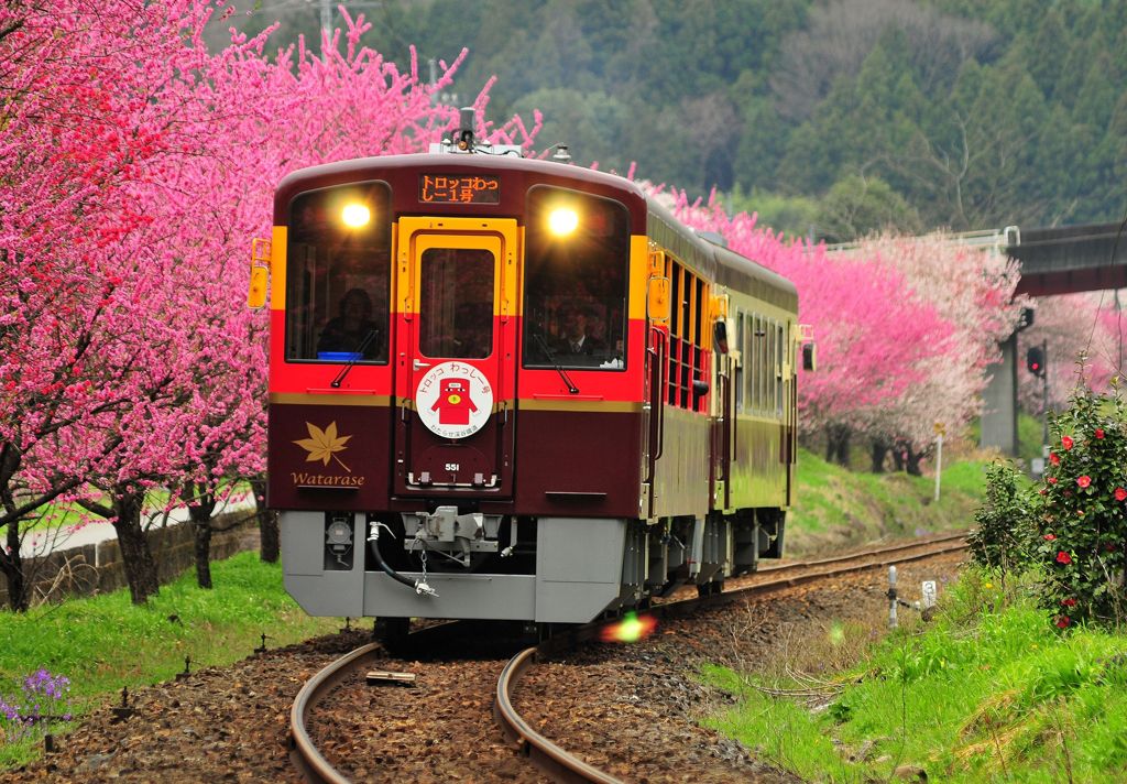 わっしー号