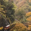 雨に濡れる紅葉谷