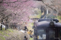 さよなら３０２　春を走る「神戸駅」