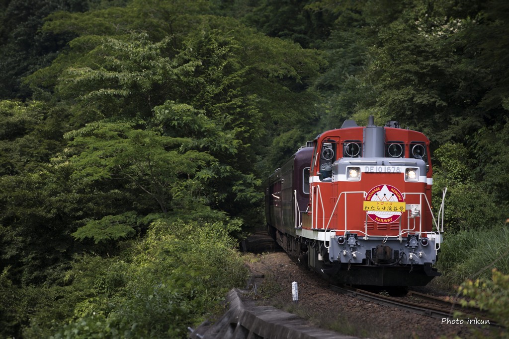夏のトロッコ列車