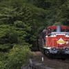 夏のトロッコ列車