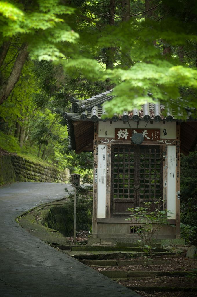 緑に囲まれた弁天さま