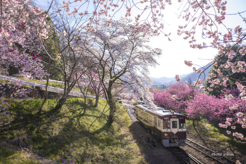 神戸駅 桃源郷①