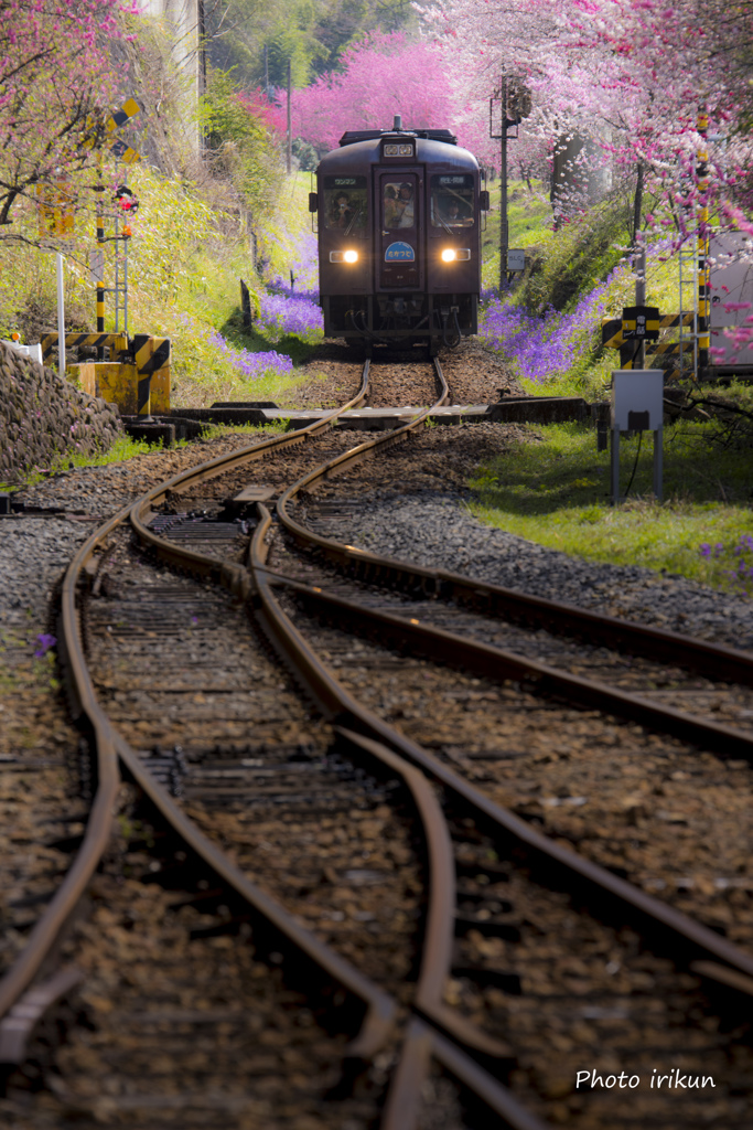 鉄路を行く