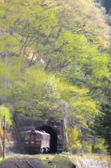 新芽