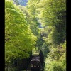緑の渓谷