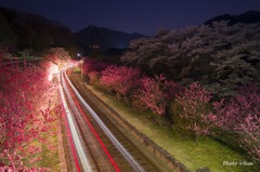 神戸の夜