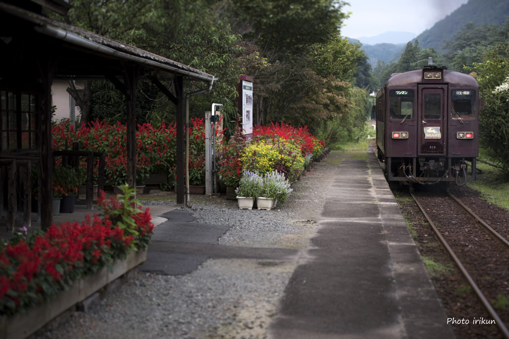 サルビアの咲く駅