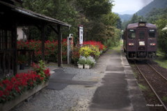 サルビアの咲く駅