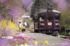 春を旅する