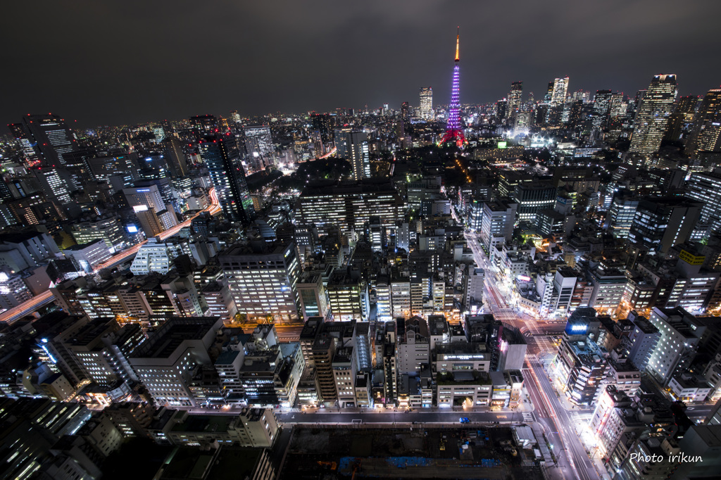 曇り空の東京Night