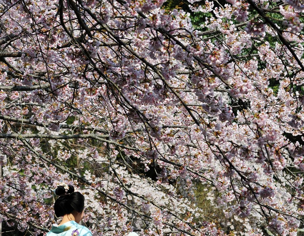 京都観光１０　醍醐寺３