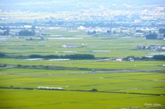 会津平に稲穂が実ります