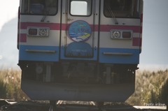 さんぴん駅伝