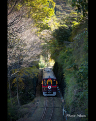 落葉の渓谷鉄道