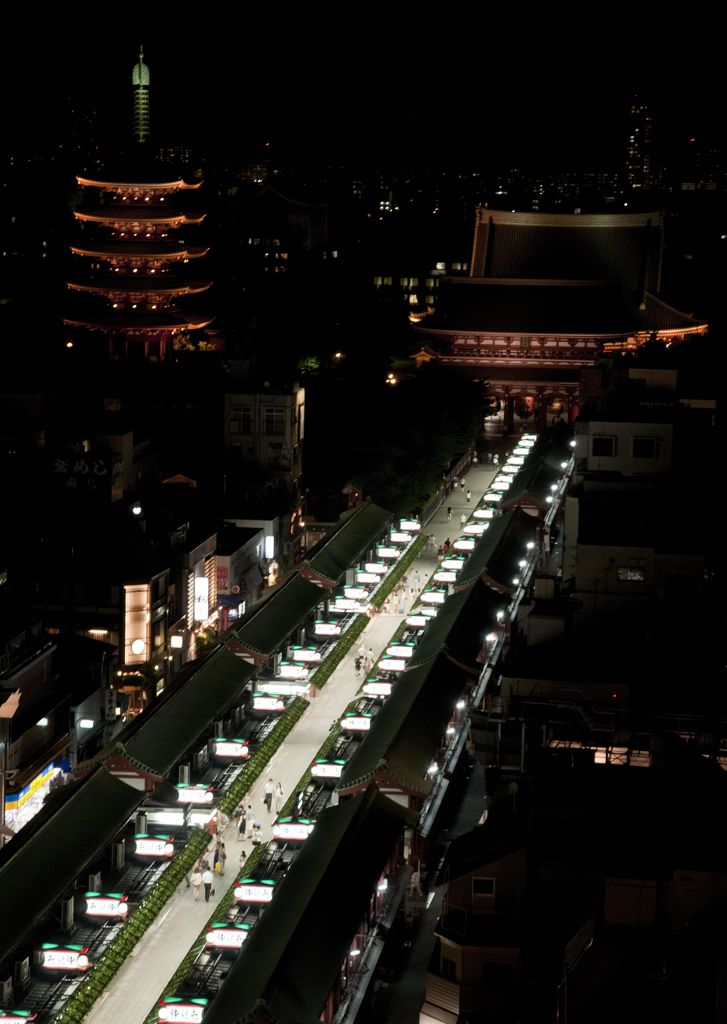 浅草寺を望む