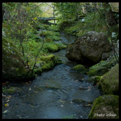 苔むす小川