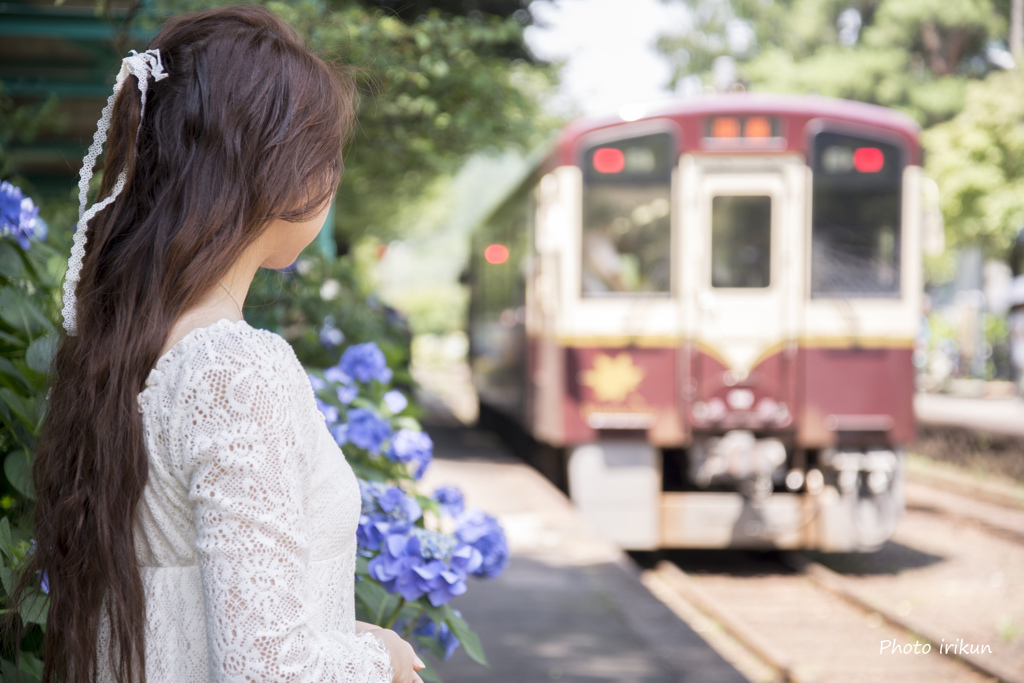 紫陽花が咲く駅